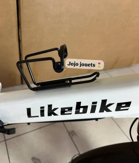 Vue 9 de Vélo Électrique SHINE Professional Focus Pliable 48V - LIKEBIKE