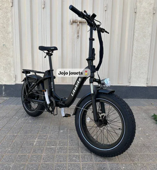 Vue 2 de Vélo Électrique SHINE S Professional Focus Pliable 48V - LIKEBIKE