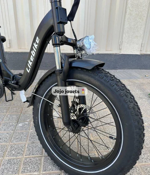 Vue 6 de Vélo Électrique SHINE S Professional Focus Pliable 48V - LIKEBIKE