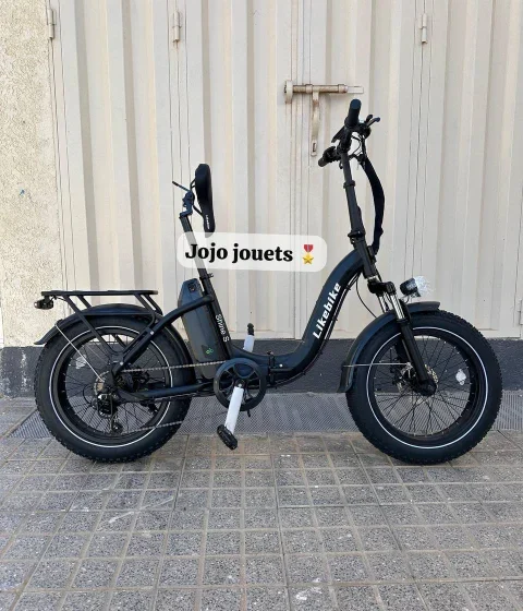 Vue 9 de Vélo Électrique SHINE S Professional Focus Pliable 48V - LIKEBIKE