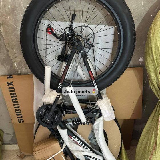 Vue 14 de VÉLO DOWNHILL FAT BIKE CHALLENGE JL 26 Pouces