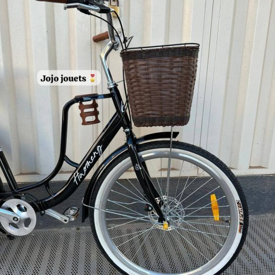 Vue 6 de Vélo Madame Haomeng Coffee Bike 26 Pouce