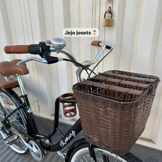 Vue 7 de Vélo Madame Haomeng Coffee Bike 26 Pouce
