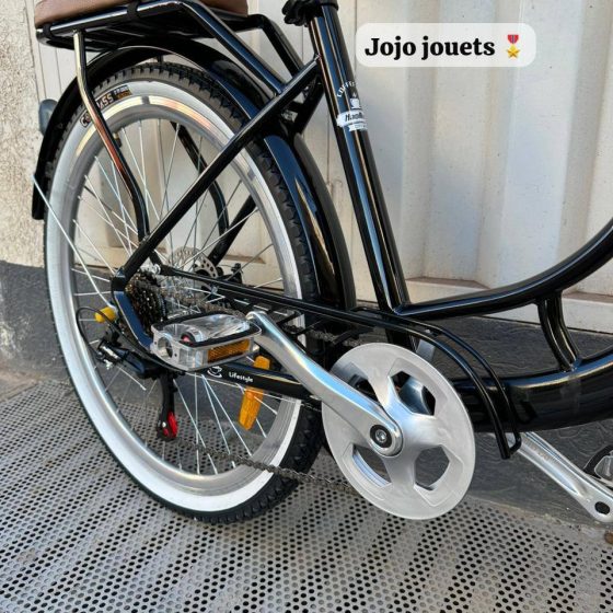Vue 10 de Vélo Madame Haomeng Coffee Bike 26 Pouce