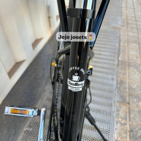 Vue 18 de Vélo Madame Haomeng Coffee Bike 26 Pouce