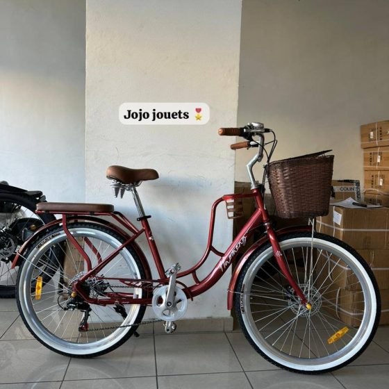Vue 19 de Vélo Madame Haomeng Coffee Bike 26 Pouce