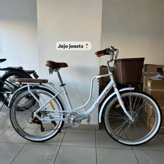 Vue 20 de Vélo Madame Haomeng Coffee Bike 26 Pouce