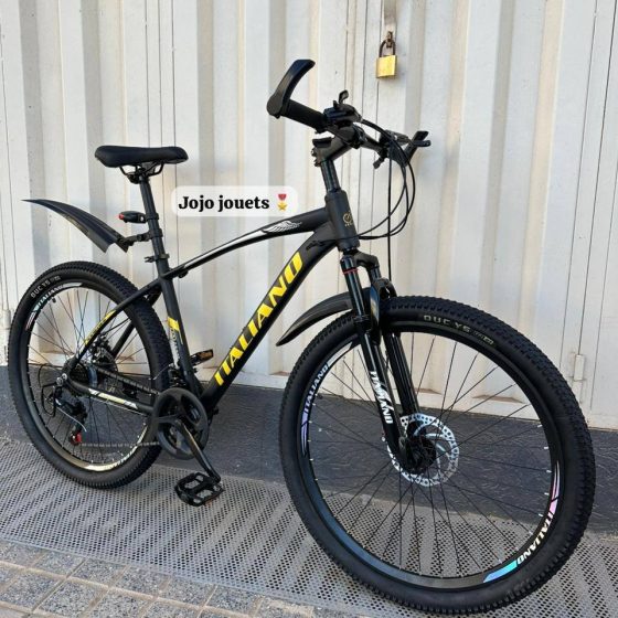 Vue 2 de Vélo VTT ALUMINIUM ITALIANO 26 Pouces