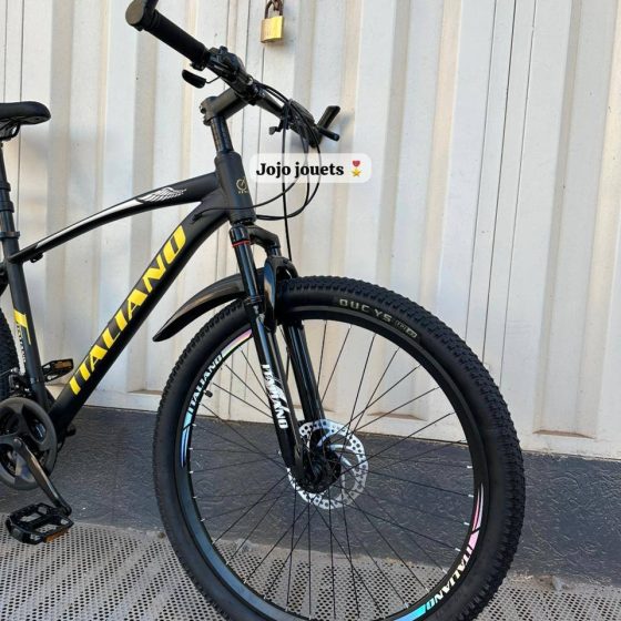 Vue 6 de Vélo VTT ALUMINIUM ITALIANO 26 Pouces