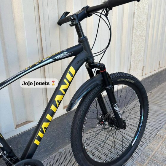 Vue 7 de Vélo VTT ALUMINIUM ITALIANO 26 Pouces