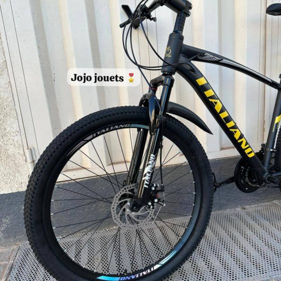 Vue 10 de Vélo VTT ALUMINIUM ITALIANO 26 Pouces