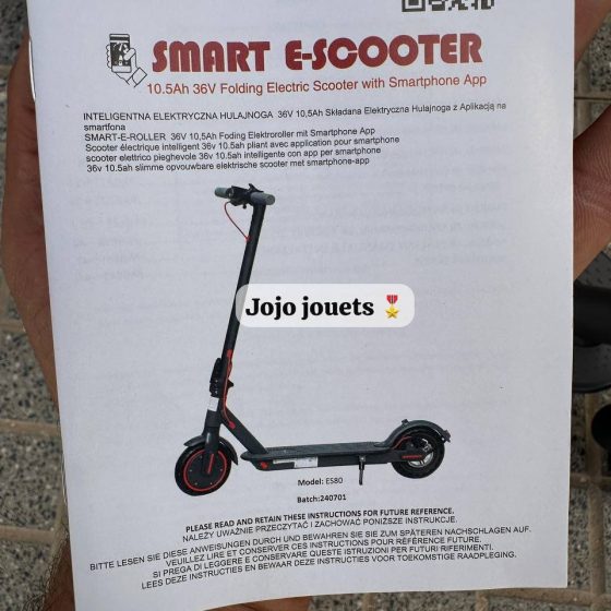 Vue 13 de Trottinette Électrique AOVOPRO ES80 36V ⚡️