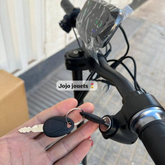 Vue 14 de Trottinette Électrique NANROBOT A15 1000W 48V
