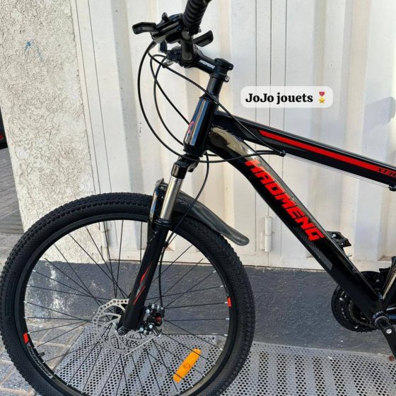 Vue 10 de VÉLO VTT HAOMENG XT360 26 Pouces