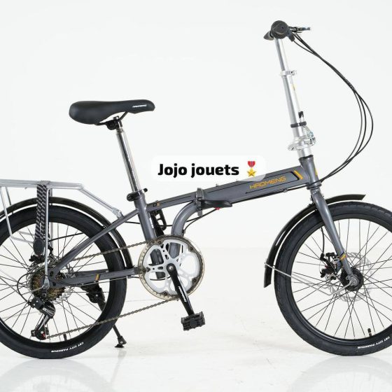 Vue 10 de Vélo Familial Pliable HAOMENG 20