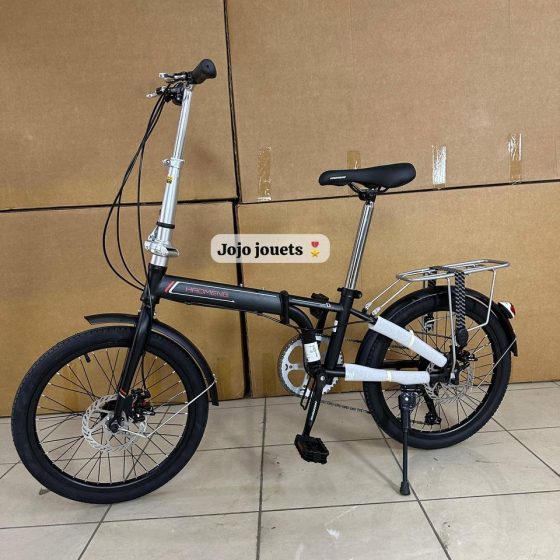 Vue 2 de Vélo Familial Pliable HAOMENG 20