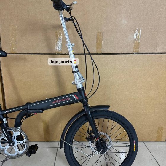 Vue 5 de Vélo Familial Pliable HAOMENG 20
