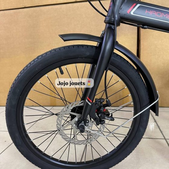 Vue 6 de Vélo Familial Pliable HAOMENG 20