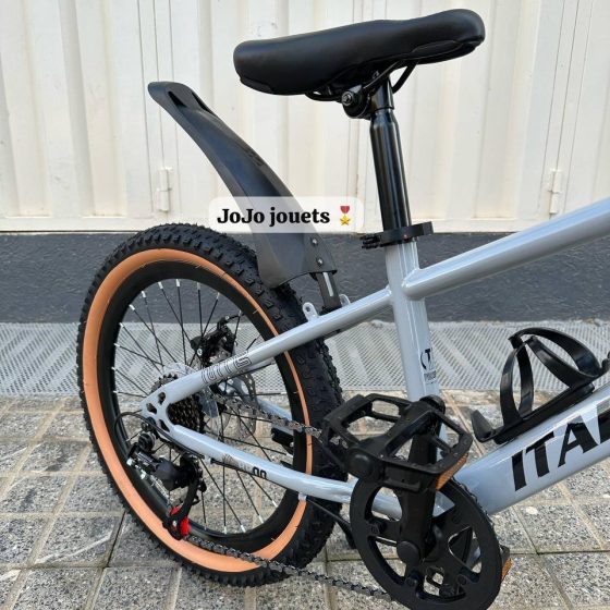 Vue 6 de Vélo VTT ITALIANO MTB 20 Pouces