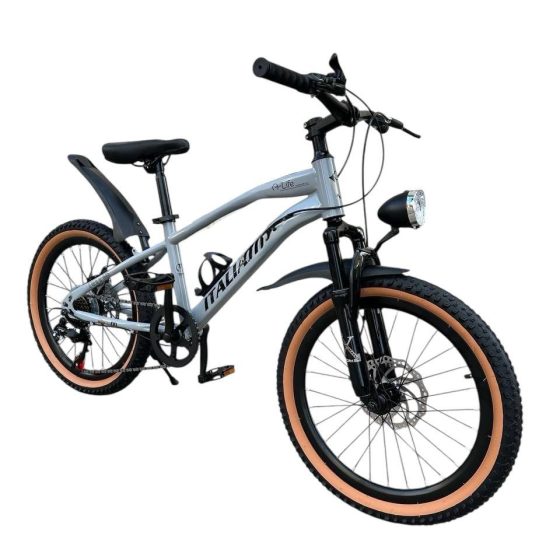 Vue 1 de Vélo VTT ITALIANO MTB 20 Pouces