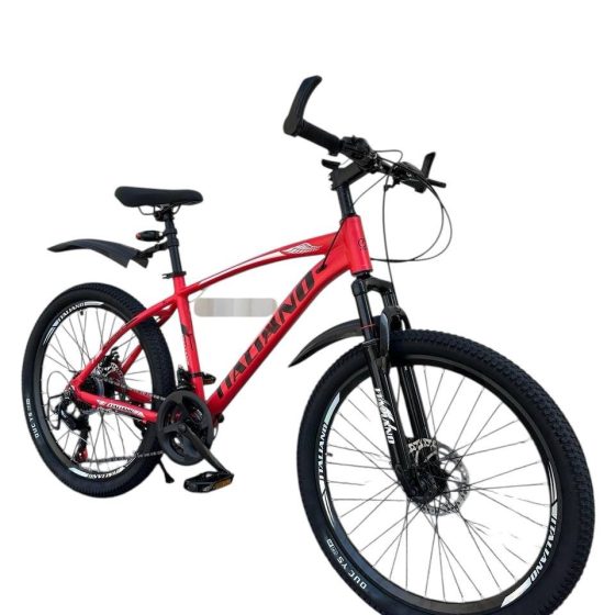 Vue 1 de Vélo VTT ALUMINIUM ITALIANO 24 Pouces