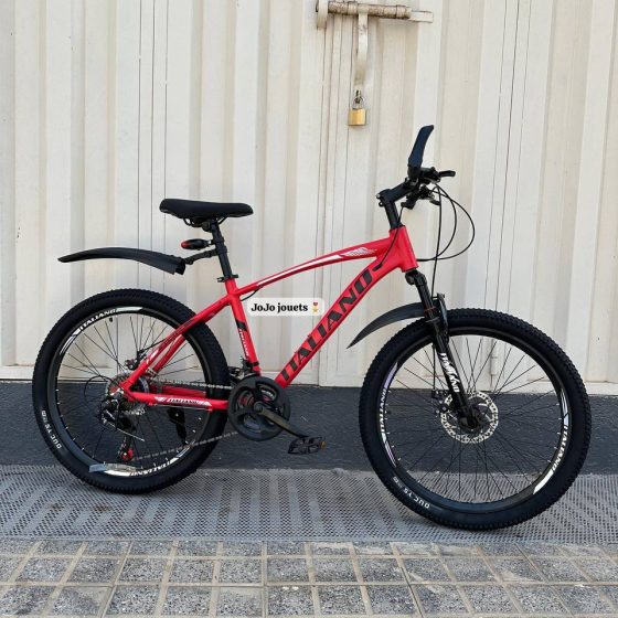 Vue 2 de Vélo VTT ALUMINIUM ITALIANO 24 Pouces