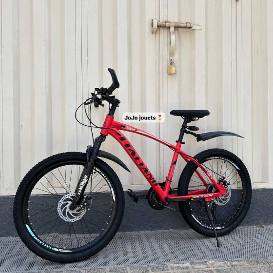 Vue 5 de Vélo VTT ALUMINIUM ITALIANO 24 Pouces