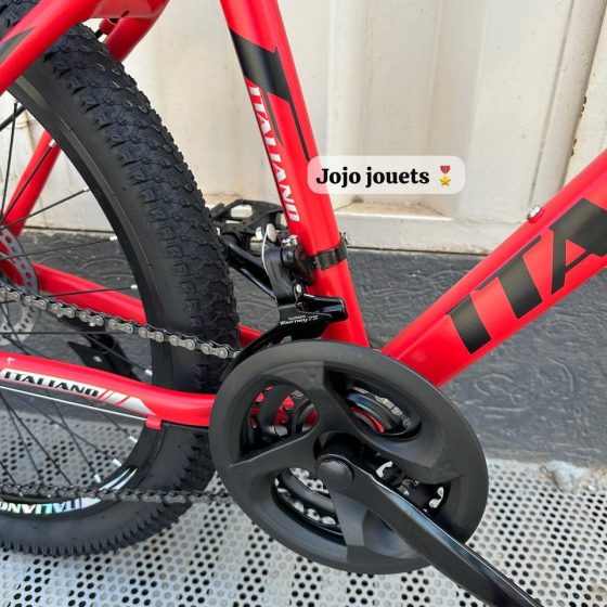 Vue 7 de Vélo VTT ALUMINIUM ITALIANO 24 Pouces