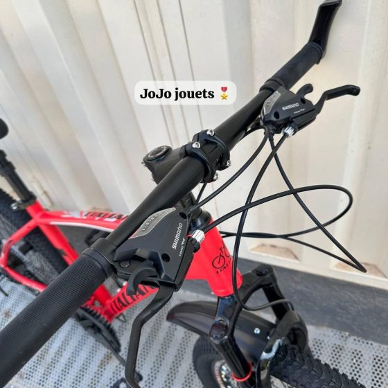 Vue 8 de Vélo VTT ALUMINIUM ITALIANO 24 Pouces