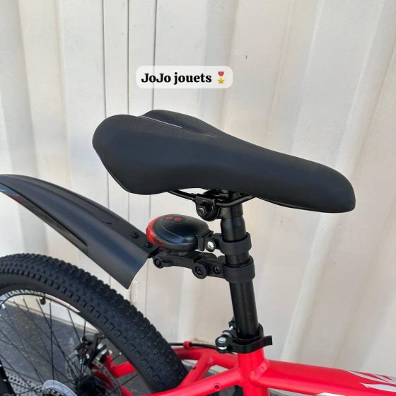 Vue 9 de Vélo VTT ALUMINIUM ITALIANO 24 Pouces