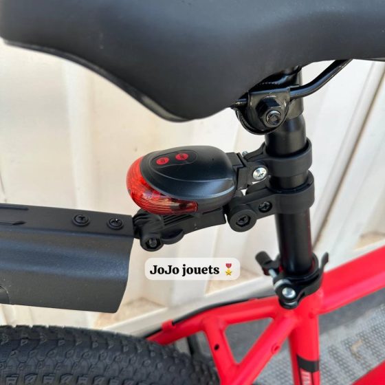 Vue 10 de Vélo VTT ALUMINIUM ITALIANO 24 Pouces