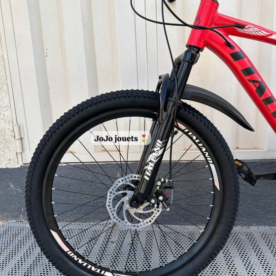 Vue 12 de Vélo VTT ALUMINIUM ITALIANO 24 Pouces
